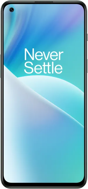 OnePlus Nord 2T Jade Fog