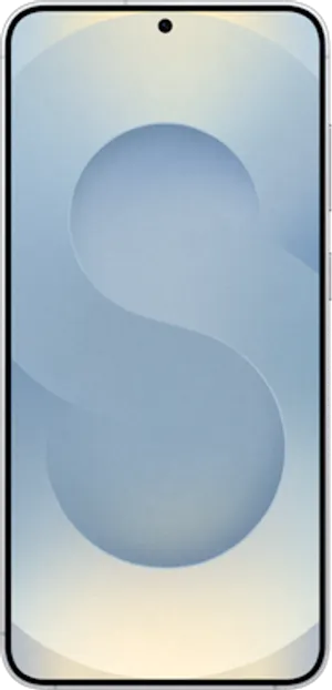 Samsung Galaxy S25+ Silver Shadow