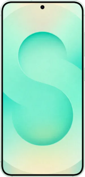 Samsung Galaxy S25 Mint