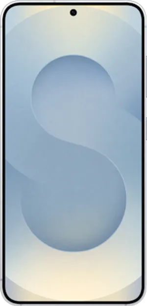 Samsung Galaxy S25 Silver Shadow