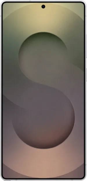 Samsung Galaxy S25 Ultra Titanium White Silver