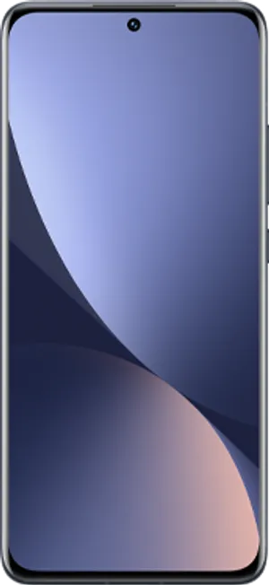 Xiaomi 12 Grey